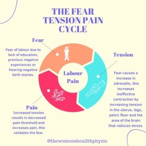 fear tension cycle